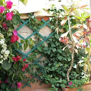 https://casa-elena-siracusa.sicilyhotelsitaly.net